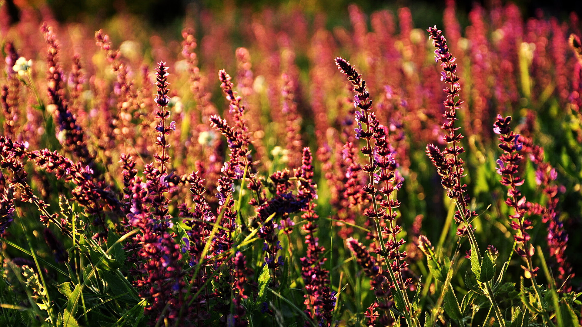 爱游戏娱乐网址-【虚拟现实带来的沉浸体验】未来棒球比赛或在虚拟空间进行!,未来棒球社区